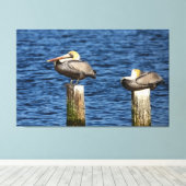 Brown Pelican Pair die op poten staat Canvas Afdruk (Insitu (Houten vloer))