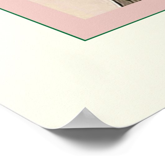 Brown Pelican Poster (Hoek)