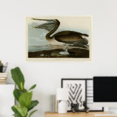 Brown Pelican Poster (Thuiskantoor)