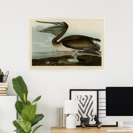 Brown Pelican Poster (Thuiskantoor)