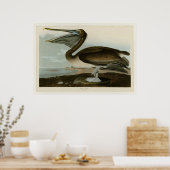 Brown Pelican Poster (Keuken)