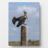 Brown Pelican Puzzle Fotoplaat (voorkant)