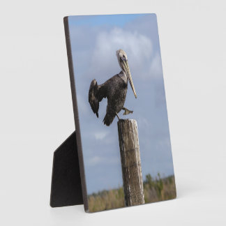 Brown Pelican Puzzle Fotoplaat