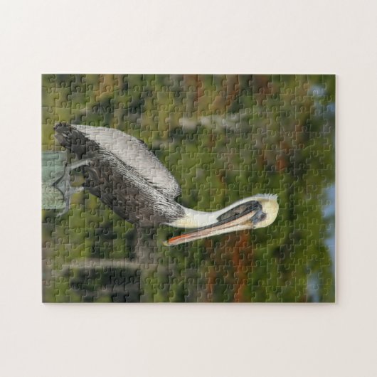 Brown Pelican Puzzle Legpuzzel (Horizontaal)