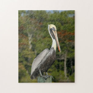 Brown Pelican Puzzle Legpuzzel