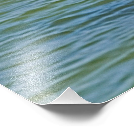 Brown Pelican vliegt boven water Foto Afdruk (Hoek)