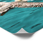 BROWN PELICAN WIND RIDER POSTER (Hoek)