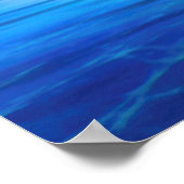 Brown Pelicans SUN KISSED PELICANS ISLAND Poster (Hoek)