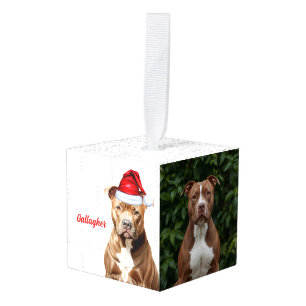 Brown Pit Bull Dog Twee foto kerstvakantie Decoratie