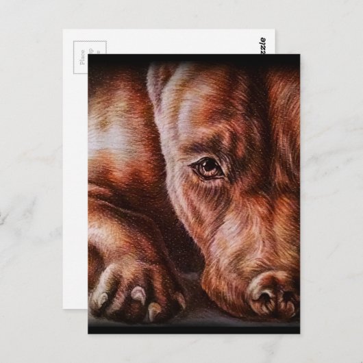 Brown pitbull face drawing of pet portrait dog briefkaart (Voorkant / Achterkant)
