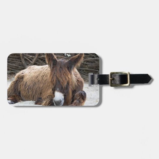 Brown Poitou Donkey Bagagelabel (Voorkant horizontaal)