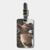 Brown Poitou Donkey Bagagelabel (Voorkant verticaal)