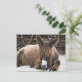 Brown Poitou Donkey Briefkaart (Staand voorkant)