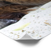 Brown Poitou Donkey Poster (Hoek)