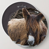Brown Poitou Donkey Ronde Button 6,0 Cm (Voorkant /achterkant)