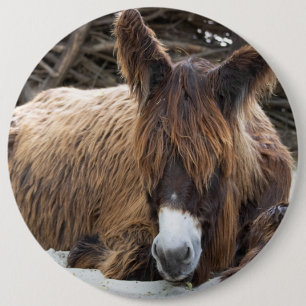 Brown Poitou Donkey Ronde Button 6,0 Cm