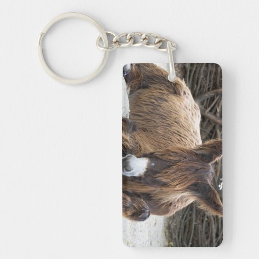 Brown Poitou Donkey Sleutelhanger (Voorkant)