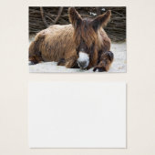 Brown Poitou Donkey Visitekaartje (Voorkant /achterkant)