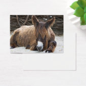 Brown Poitou Donkey Visitekaartje (Bureau)