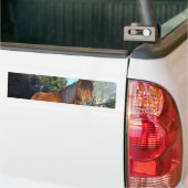 Brown pony turquoise Sky Bumpersticker (Op Truck)