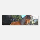 Brown pony turquoise Sky Bumpersticker (Voorkant)