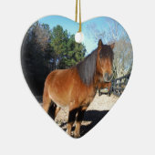 Brown pony turquoise Sky Keramisch Ornament (Rechts)