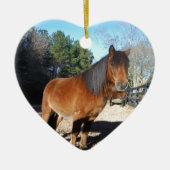 Brown pony turquoise Sky Keramisch Ornament (Voorkant)