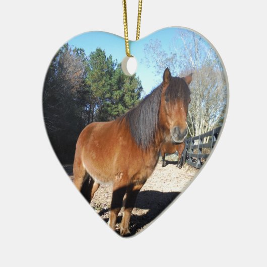 Brown pony turquoise Sky Keramisch Ornament (Links)