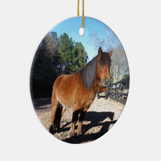 Brown pony turquoise Sky Keramisch Ornament (Rechts)