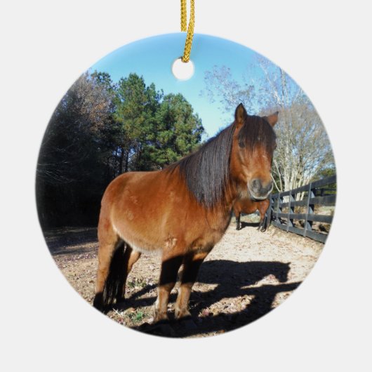 Brown pony turquoise Sky Keramisch Ornament (Voorkant)