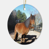 Brown pony turquoise Sky Keramisch Ornament (Links)