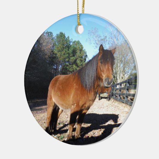 Brown pony turquoise Sky Keramisch Ornament (Links)