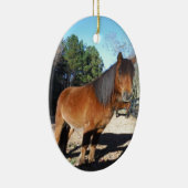 Brown pony turquoise Sky Keramisch Ornament (Rechts)