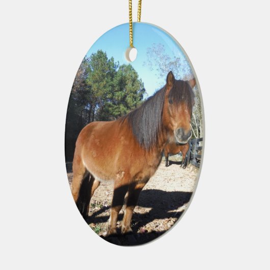 Brown pony turquoise Sky Keramisch Ornament (Links)