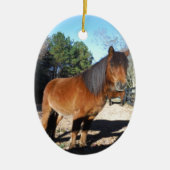 Brown pony turquoise Sky Keramisch Ornament (Voorkant)