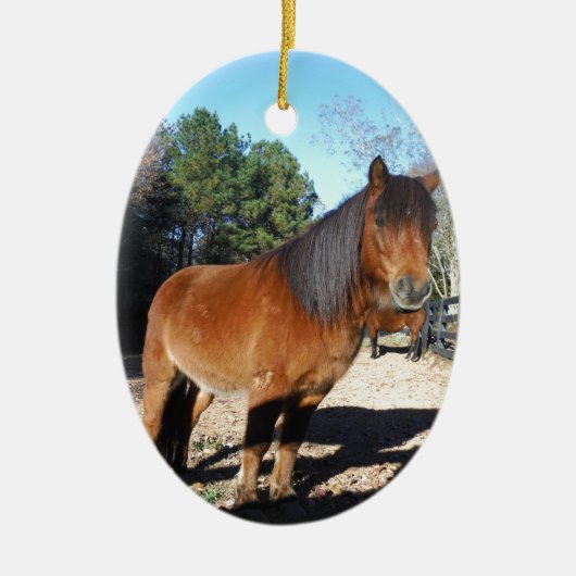 Brown pony turquoise Sky Keramisch Ornament (Voorkant)