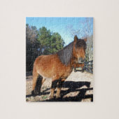 Brown pony turquoise Sky Legpuzzel (Verticaal)