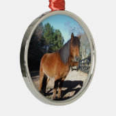 Brown pony turquoise Sky Metalen Ornament (Rechts)