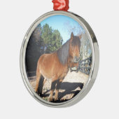 Brown pony turquoise Sky Metalen Ornament (Links)
