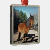 Brown pony turquoise Sky Metalen Ornament (Rechts)