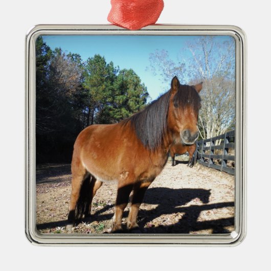Brown pony turquoise Sky Metalen Ornament (Voorkant)