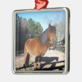 Brown pony turquoise Sky Metalen Ornament (Links)