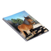 Brown pony turquoise Sky Notitieboek (Rechterzijde)