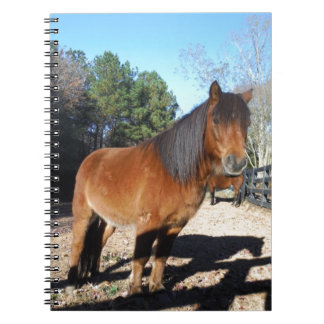 Brown pony turquoise Sky Notitieboek