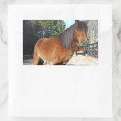 Brown pony turquoise Sky Rechthoekige Sticker (Tas)