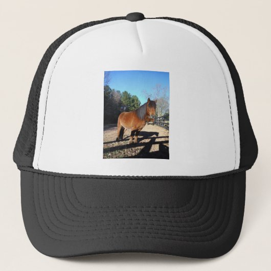 Brown pony turquoise Sky Trucker Pet (Voorkant)