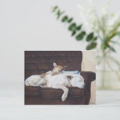 brown puppy white american bulldog realist art briefkaart (Staand voorkant)