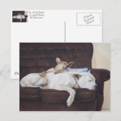 brown puppy white american bulldog realist art briefkaart (Voorkant / Achterkant)