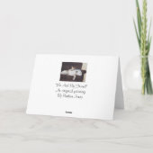 brown puppy white american bulldog realist art kaart (Achterkant)