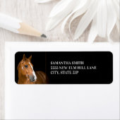 Brown Quarter Horse Photo Black Etiket (Insitu)